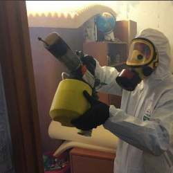 Уничтожение клопов в квартире. Маслянино